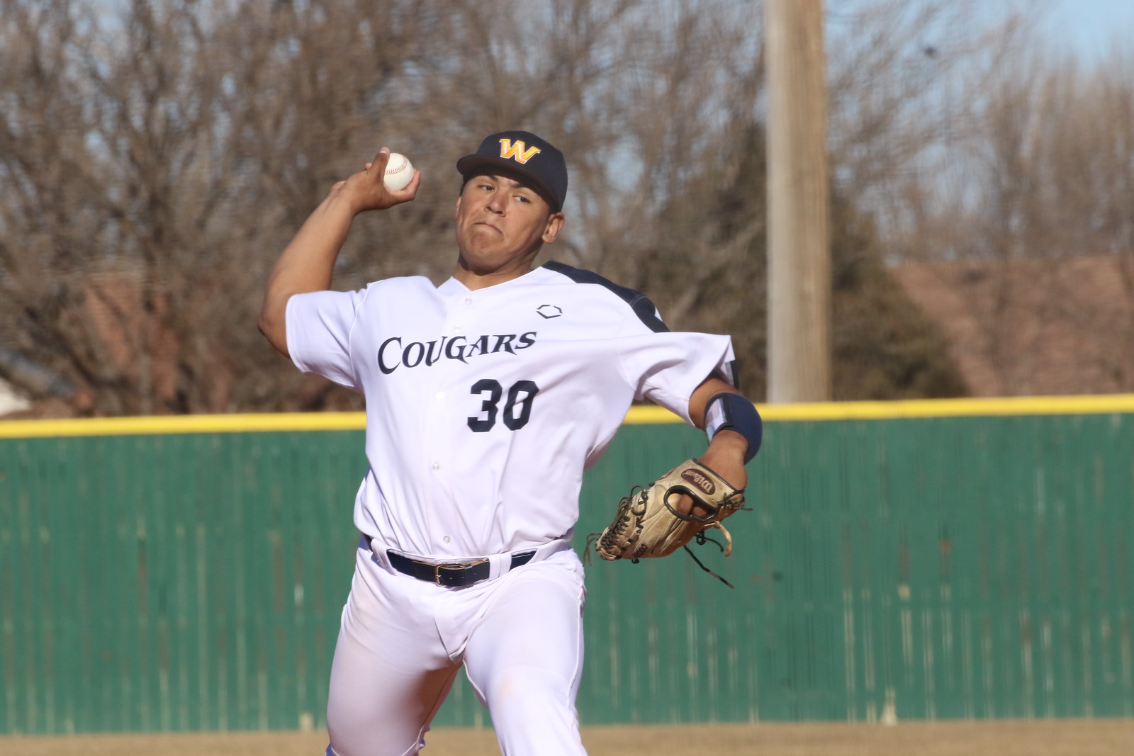 Panduro tosss one-hitter, baseball wins twice