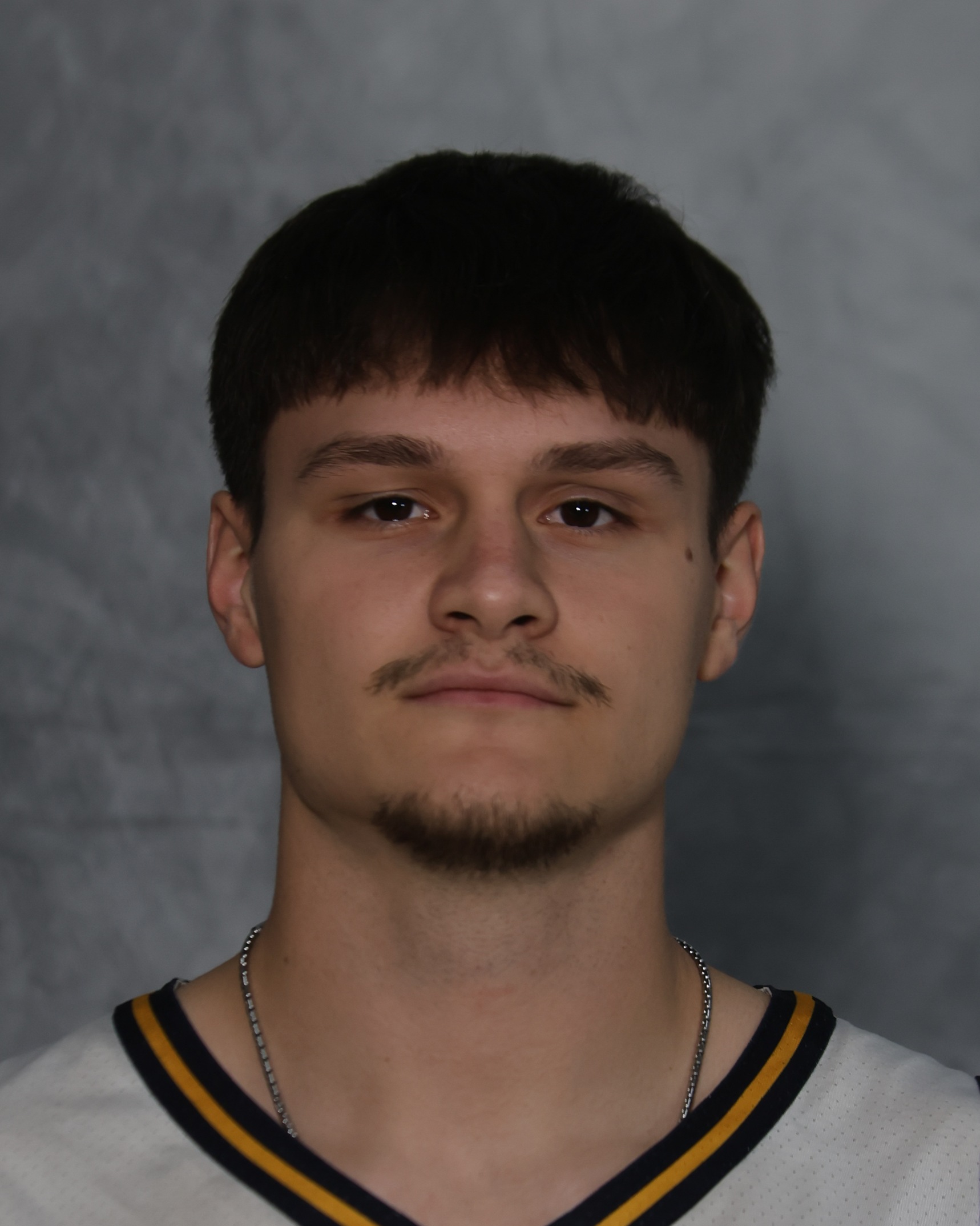 Viktor Lukic-Gavric