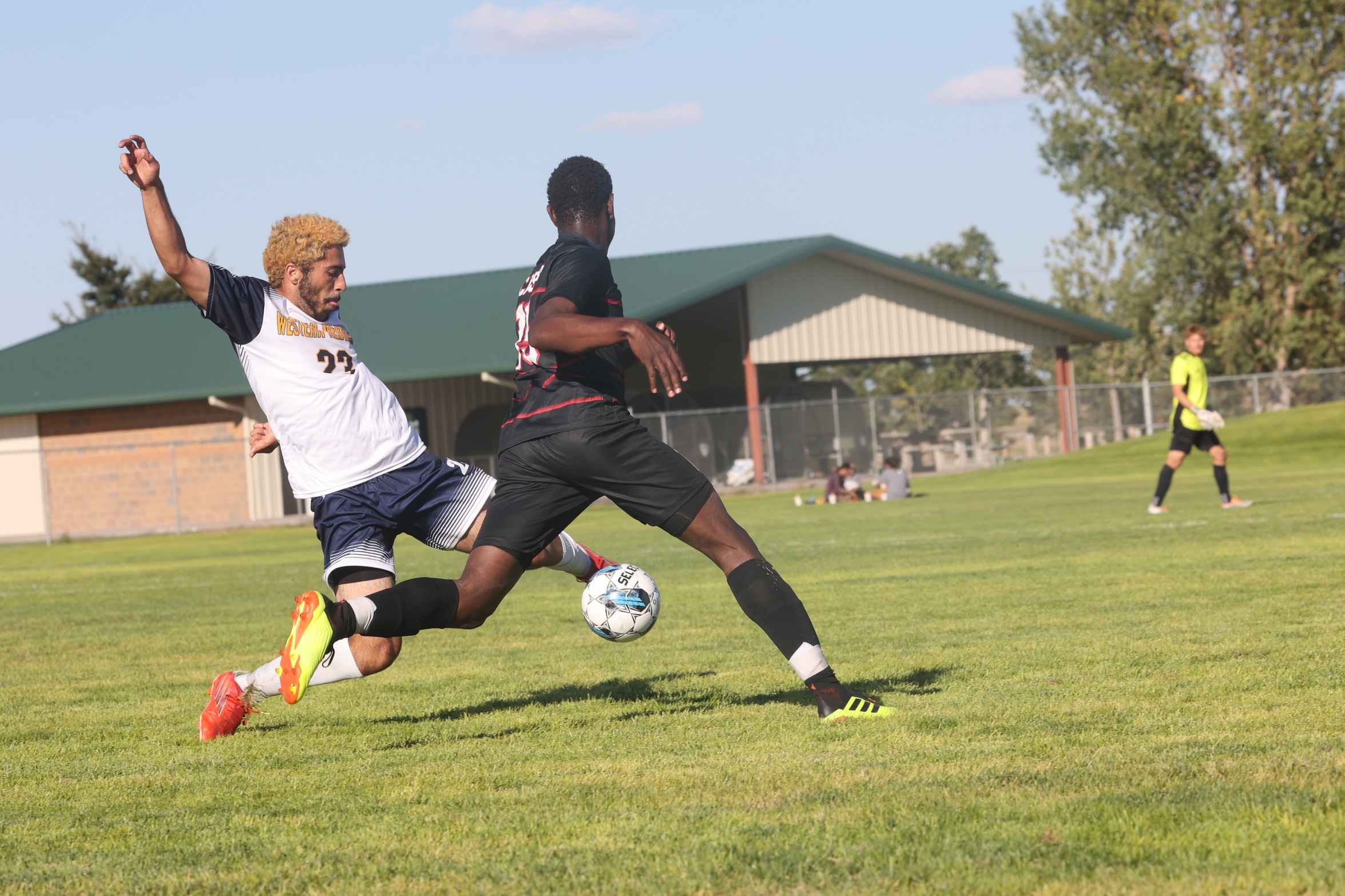 Soccer player going for a strike to the goal.