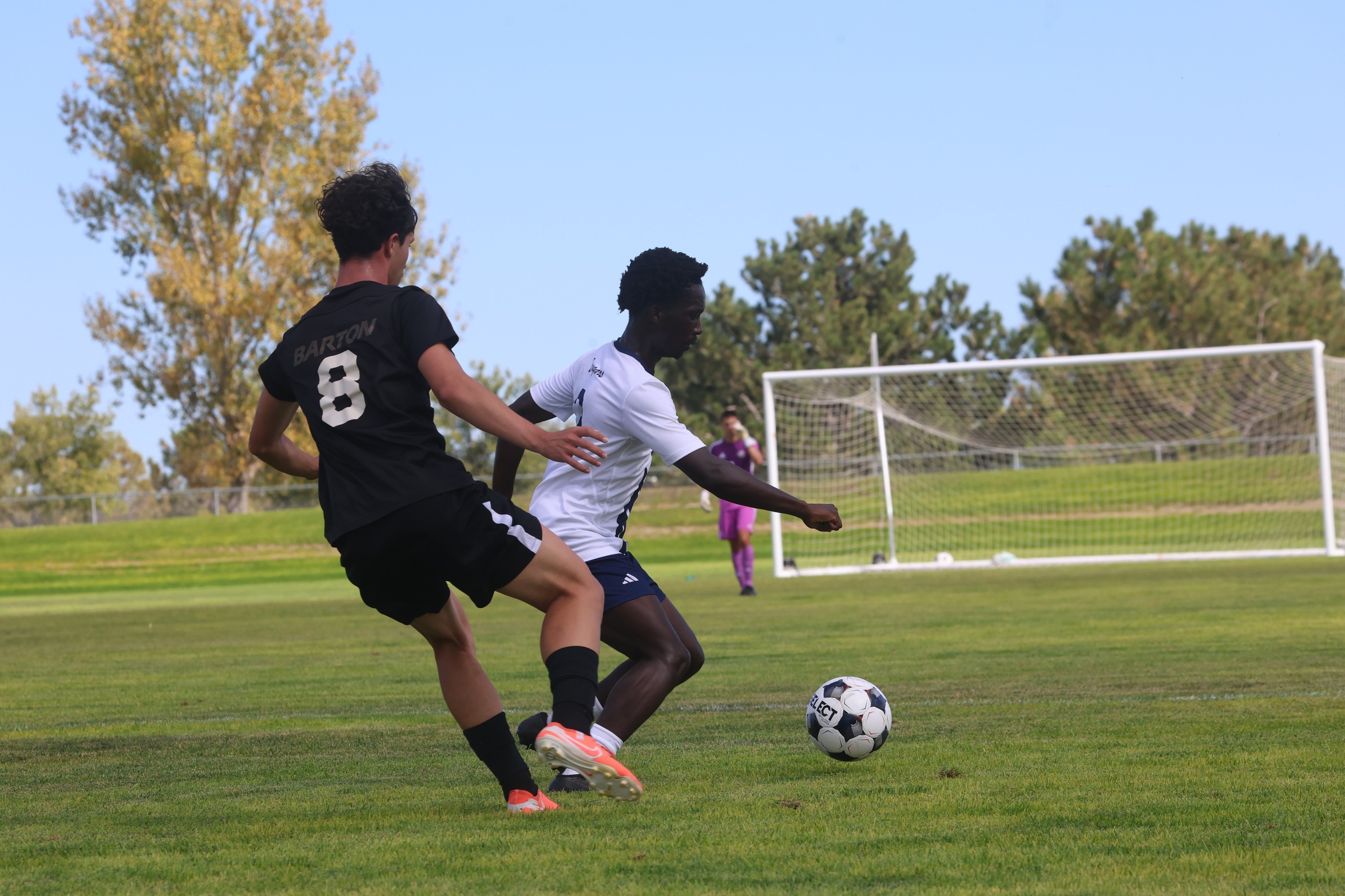 Action against Barton on Tuesday.