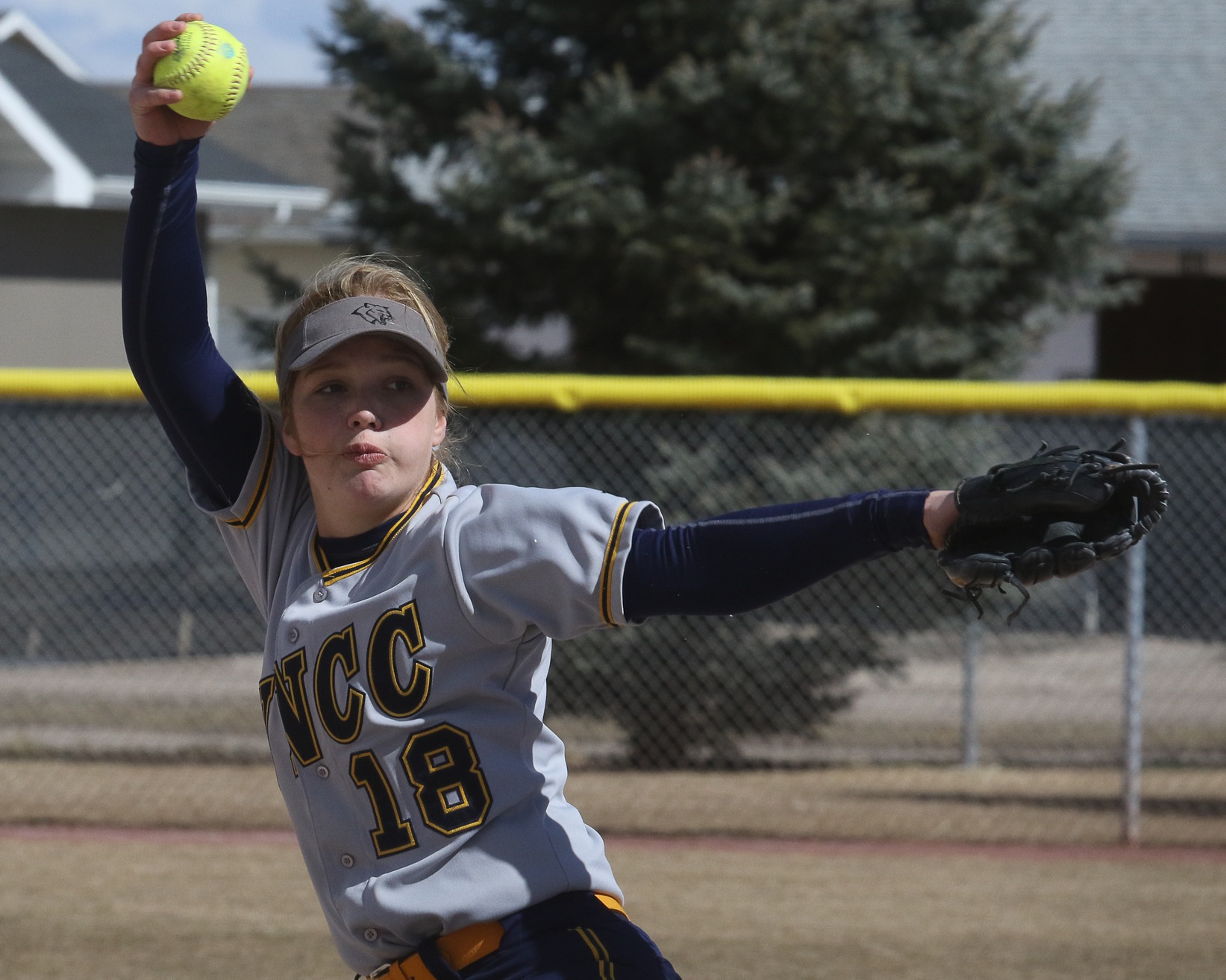 WNCC softball splits with Navarro