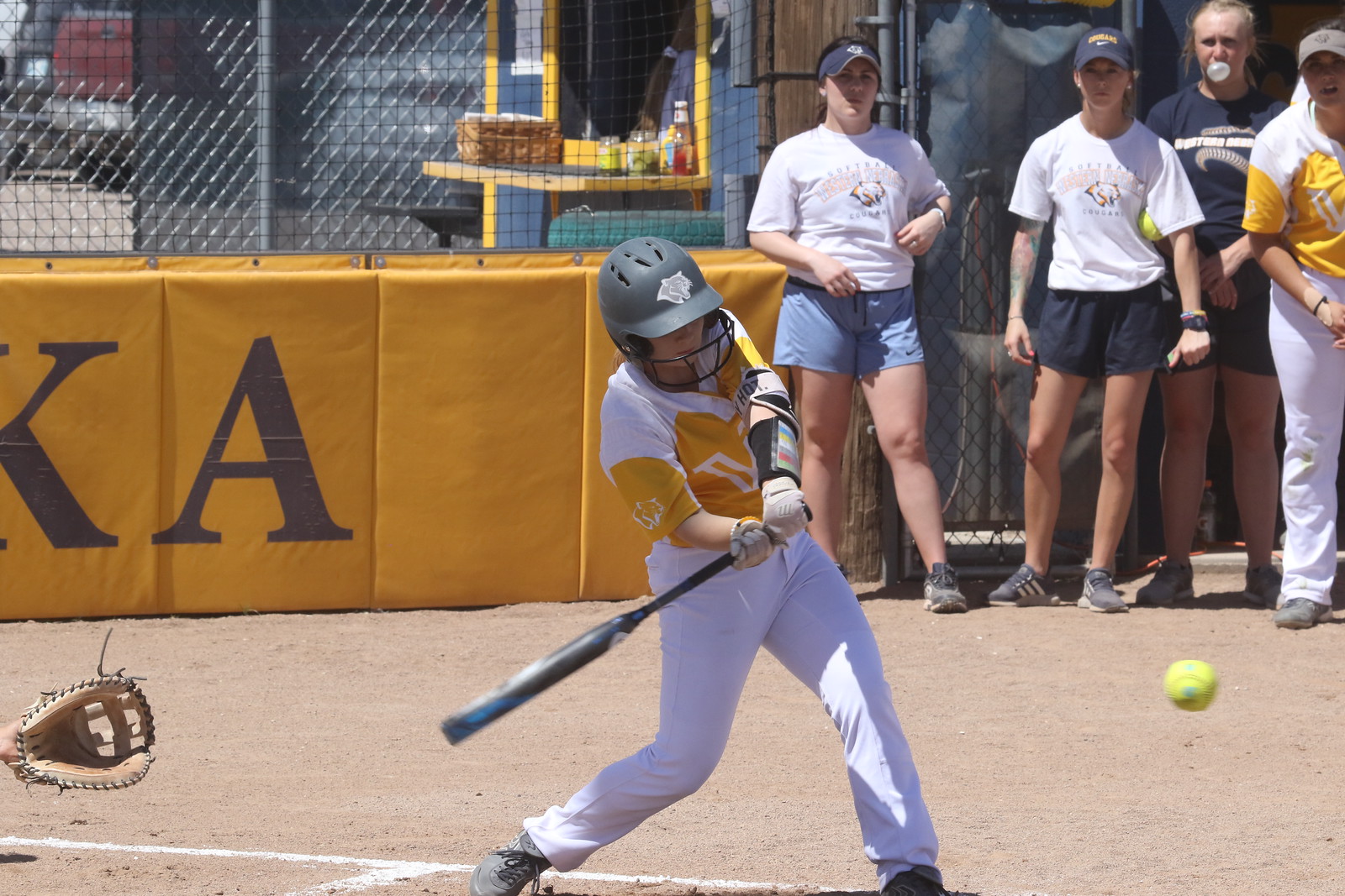 WNCC softball sweeps Lamar