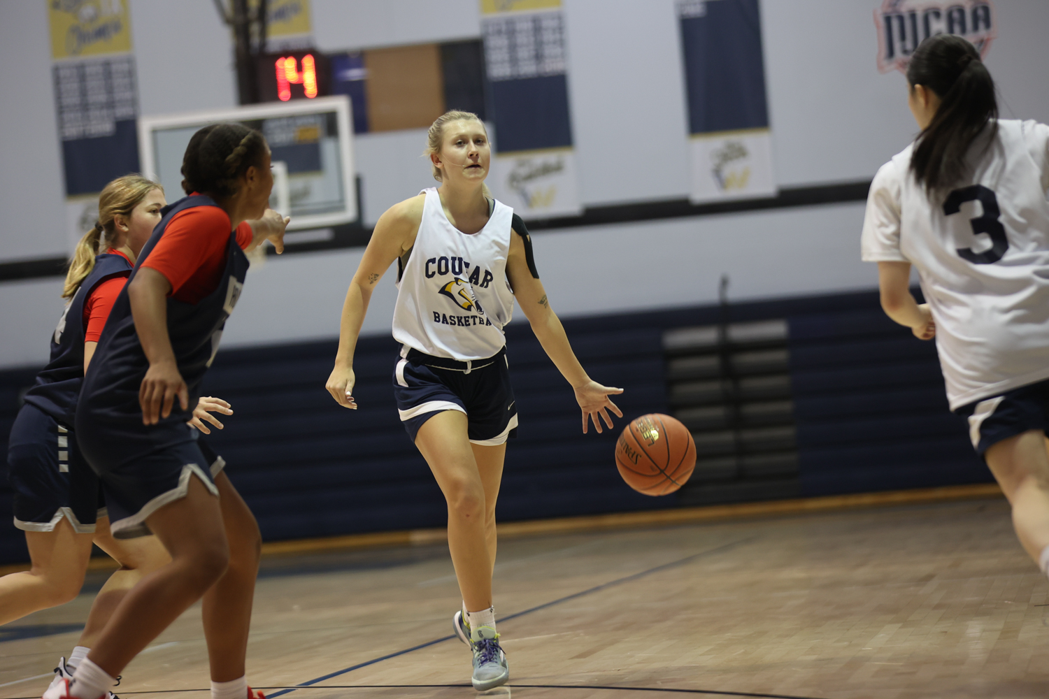 Women's Basketball scrimmage photo