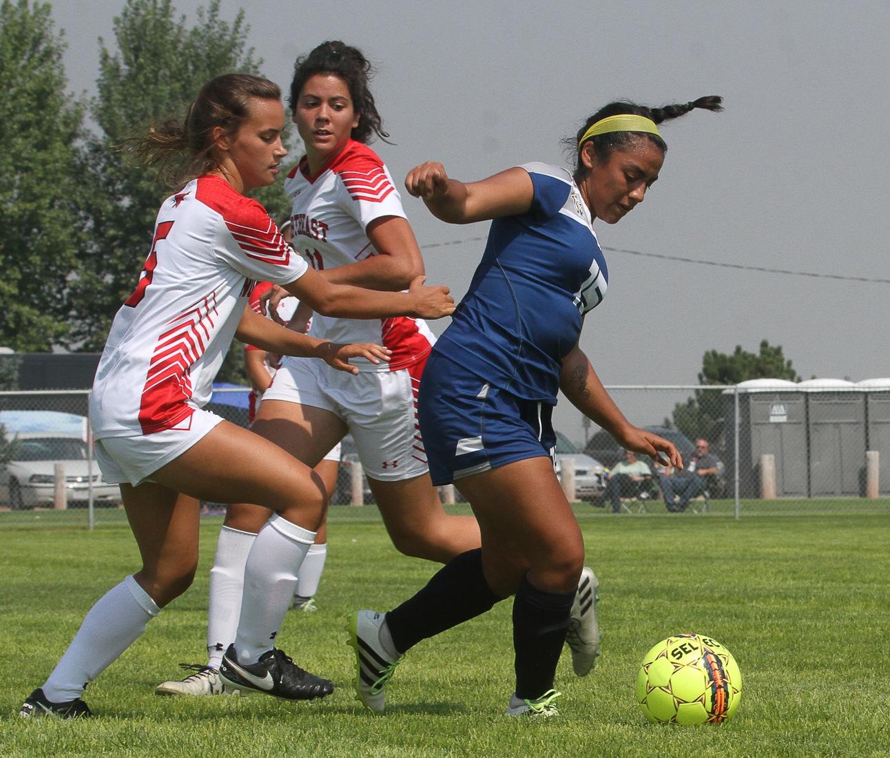 WNCC women fall to Northeast Hawks