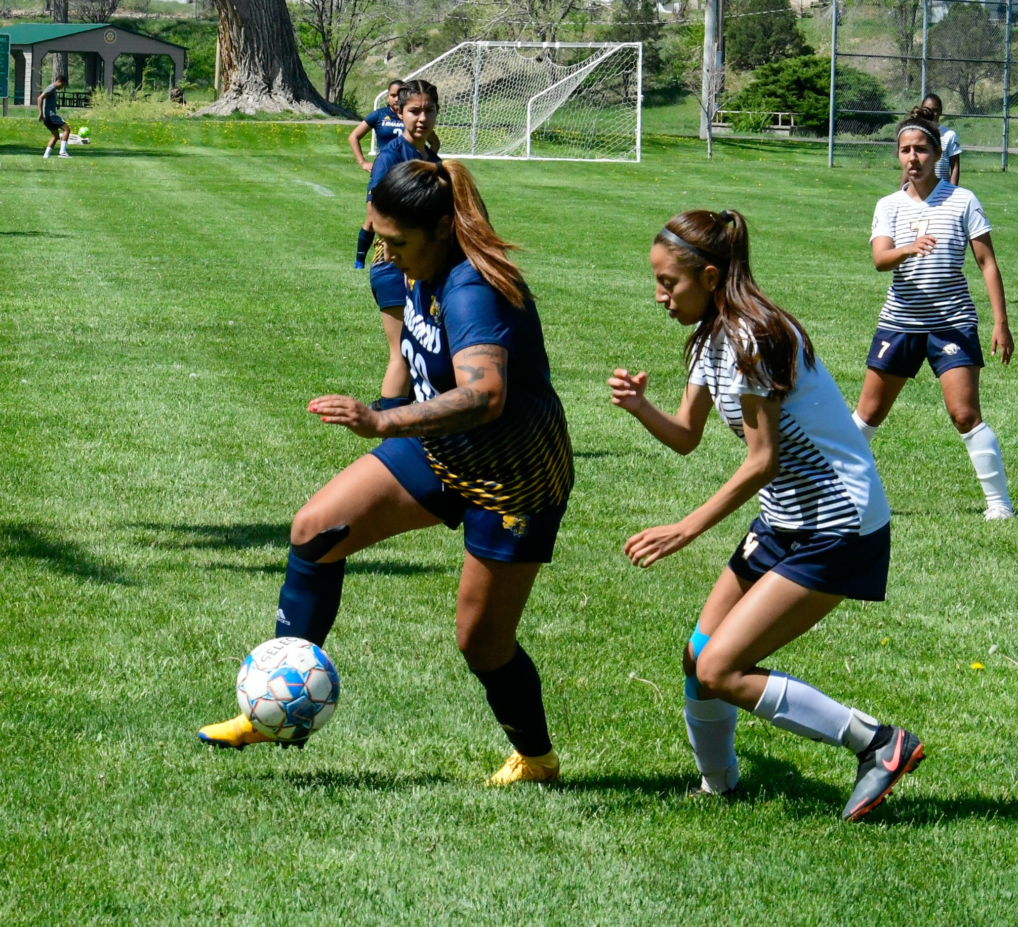 photo courtesy of Trinidad State