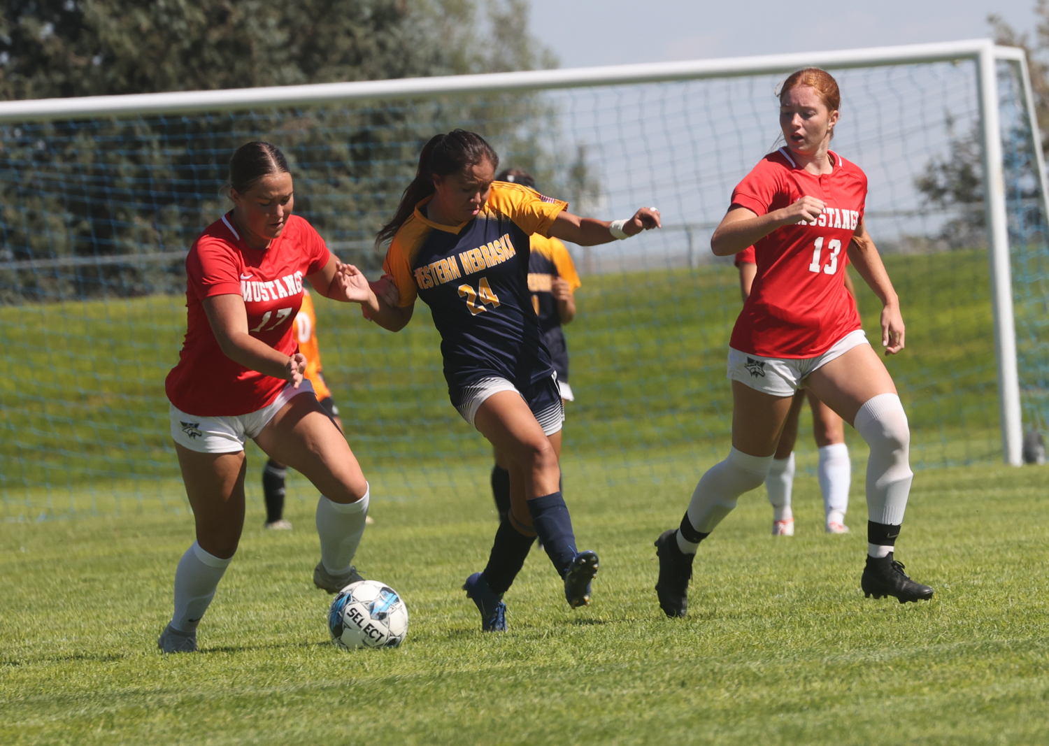 Action against Western Wyoming.