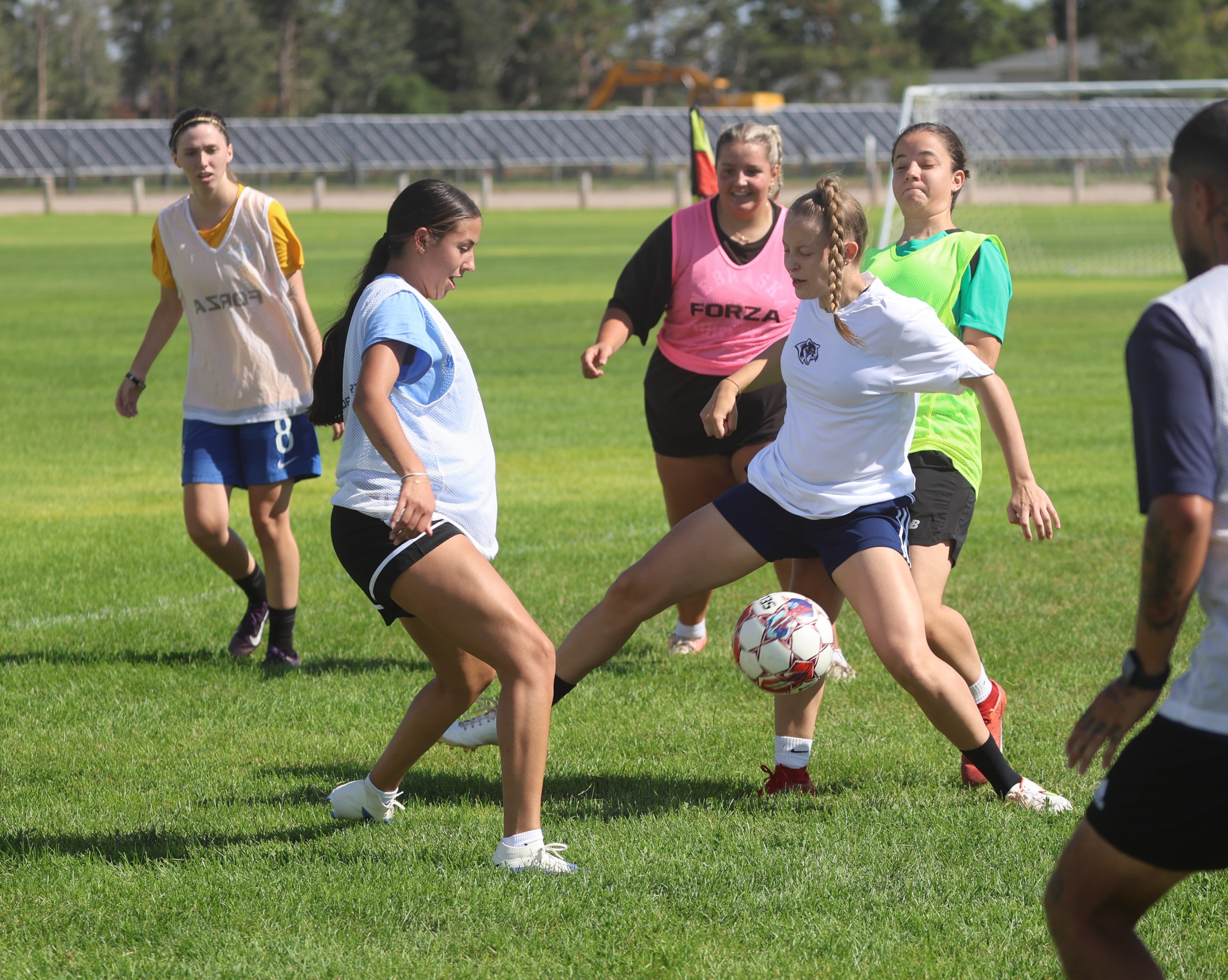 practice in the pre-season.