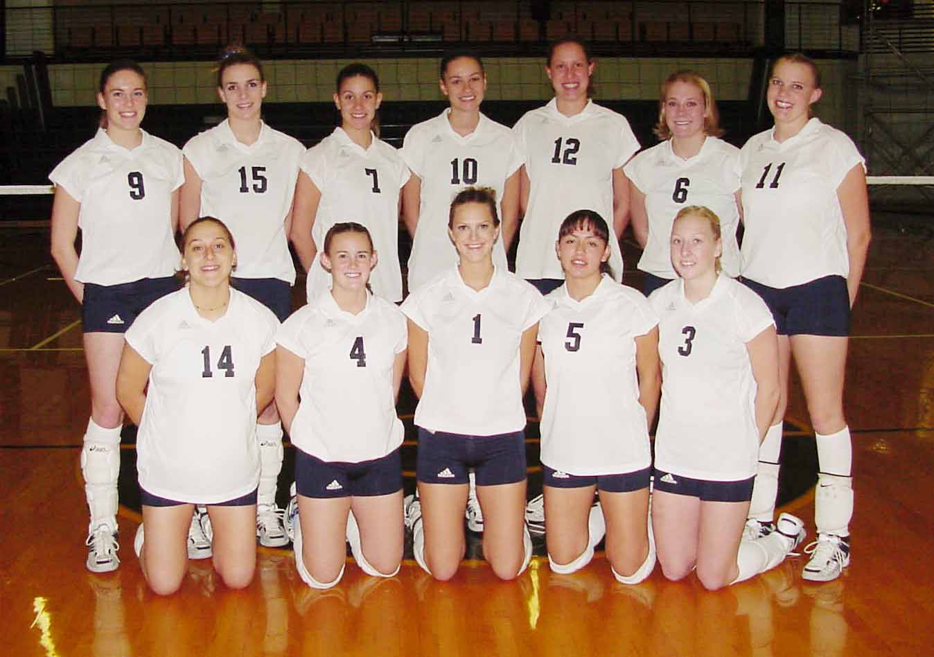 2002 Cougar Volleyball Team