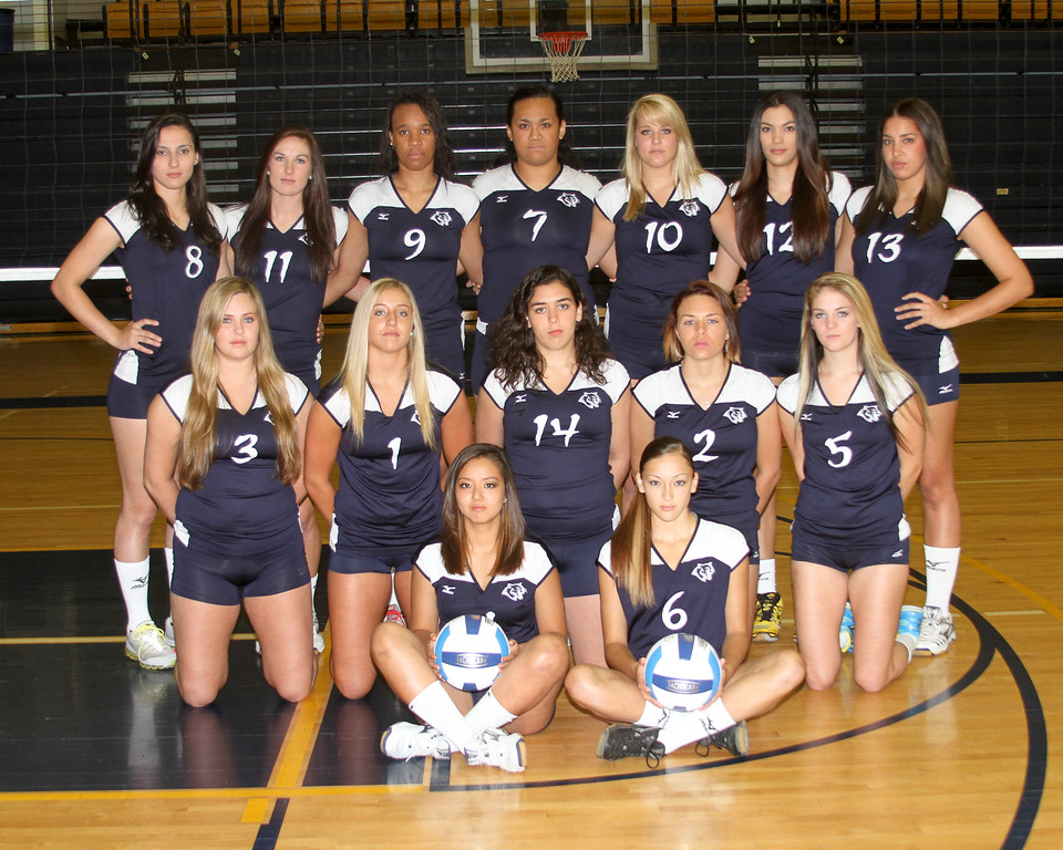 2013-14 Cougar Volleyball Team