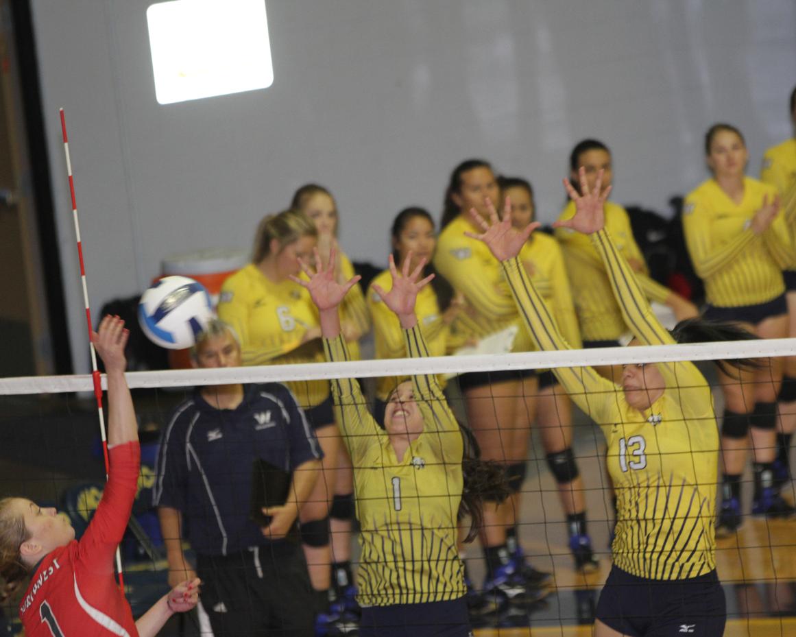 Andrade, Gerotto earn all-tournament team honors