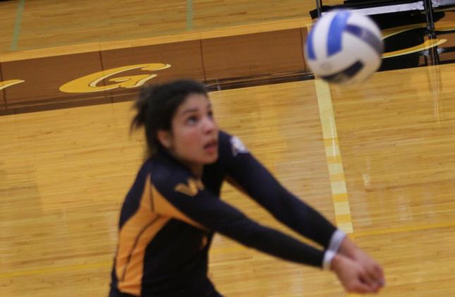WNCC sweeps Lamar