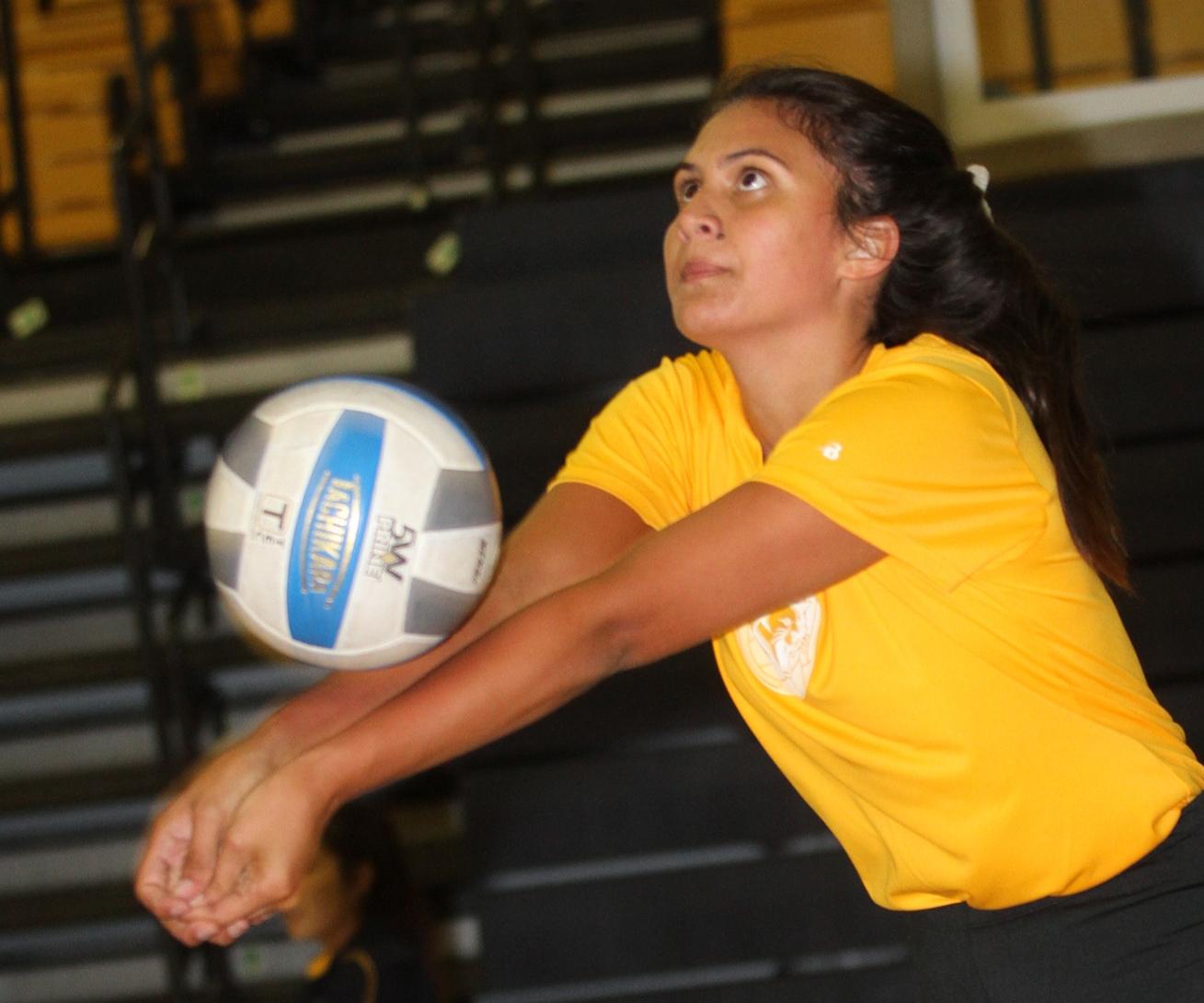 WNCC volleyball begins work for the season