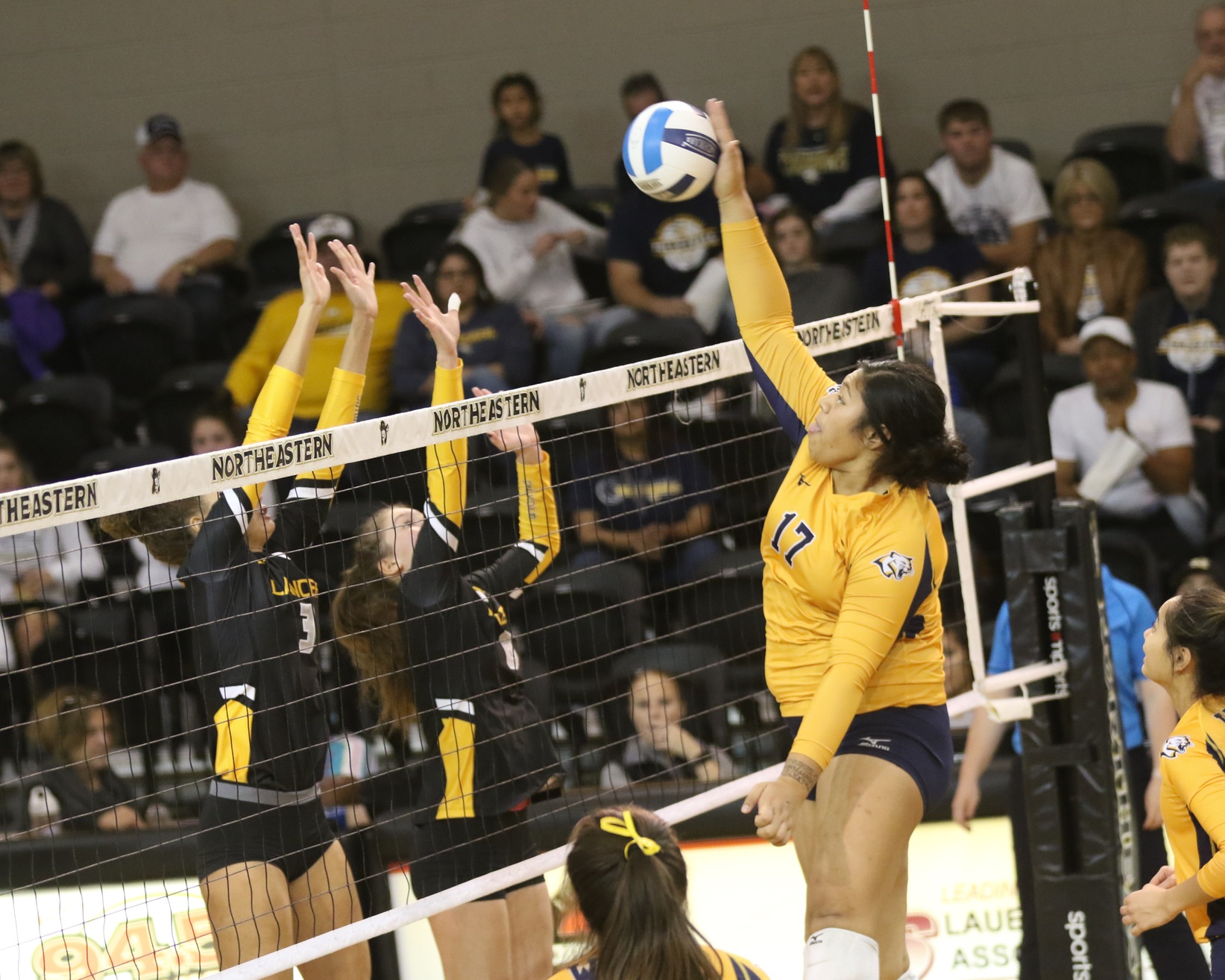 WNCC&rsquo;s Mamai-Lagafuaina earns NJCAA Second Team All-American
