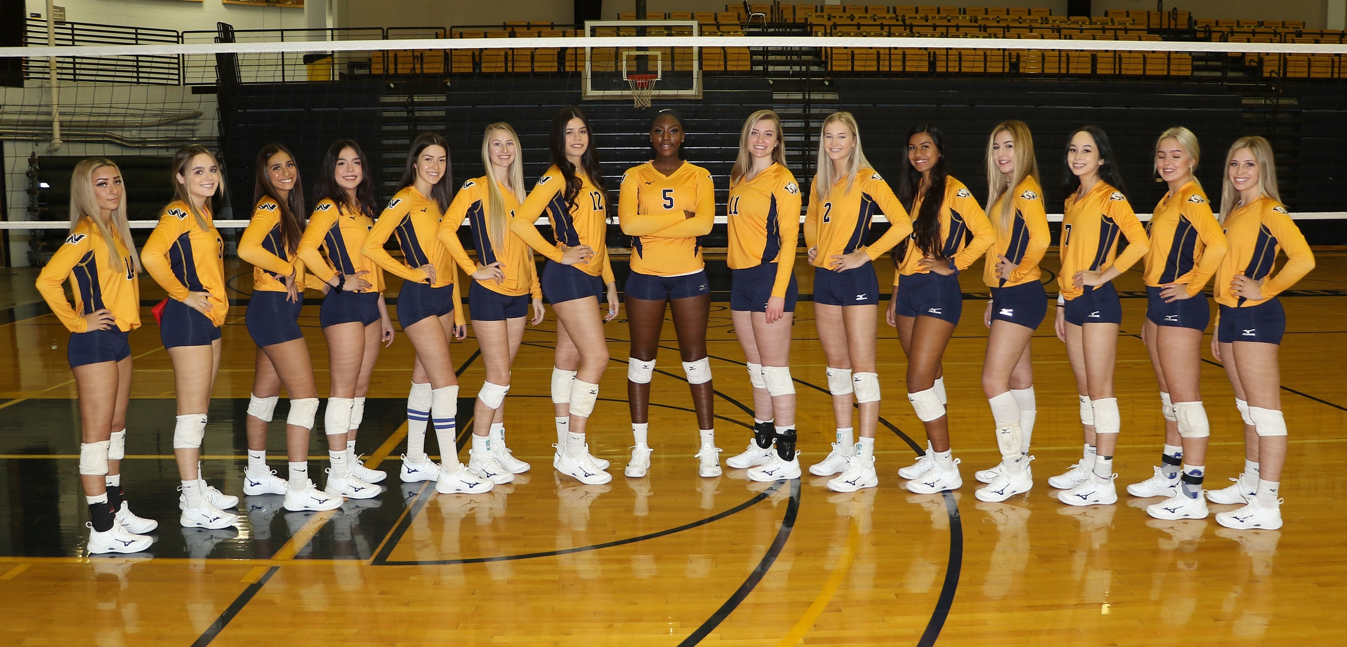 WNCC volleyball moves to No. 5 in polls, women's basketball falls to 22nd