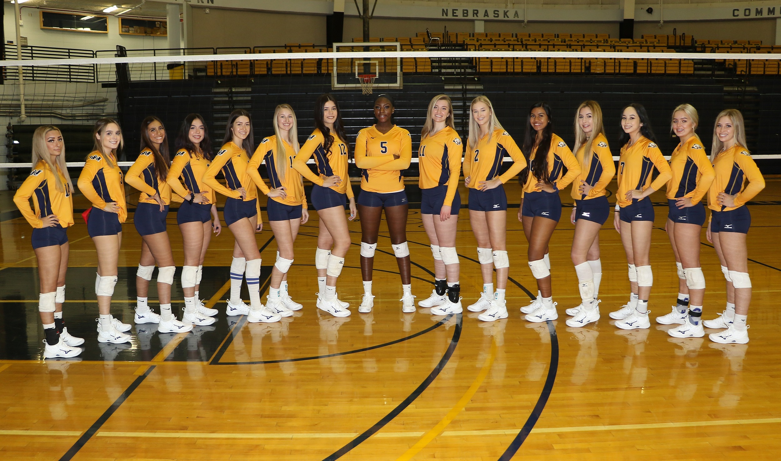 17th-Ranked WNCC volleyball team ready to open season at home this weekend
