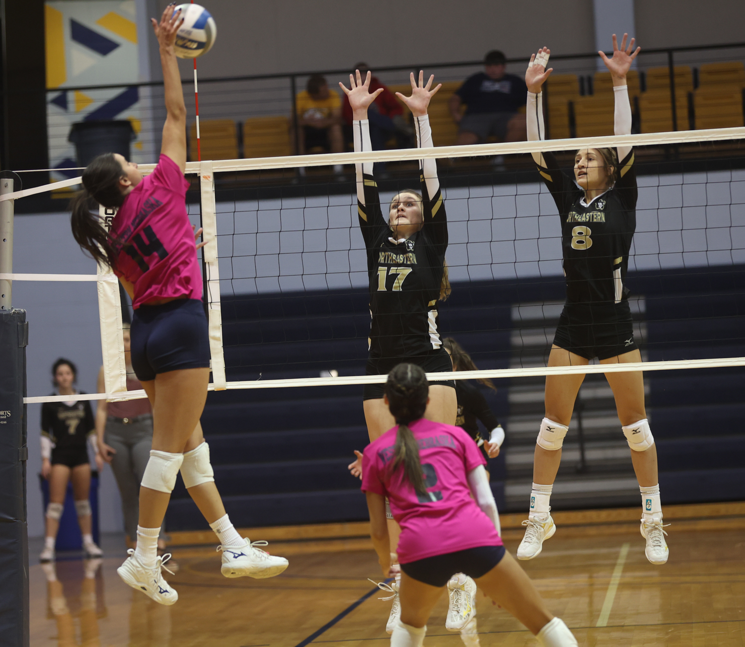 WNCC&rsquo;s Fava earns NJCAA First Team All-American honor