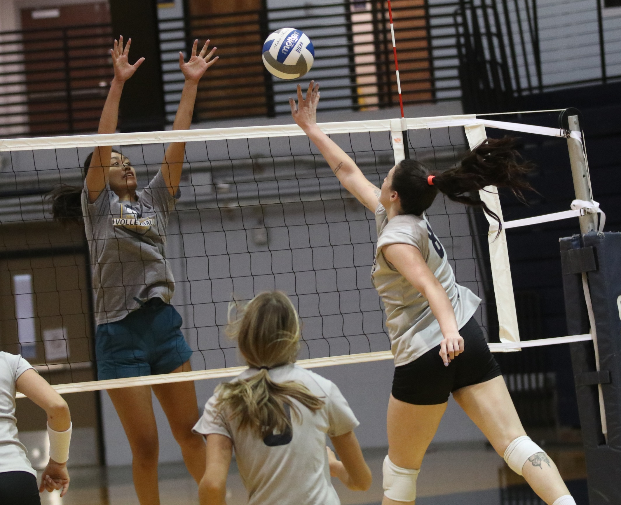 WNCC volleyball falls to Snow, Utah State-Eastern