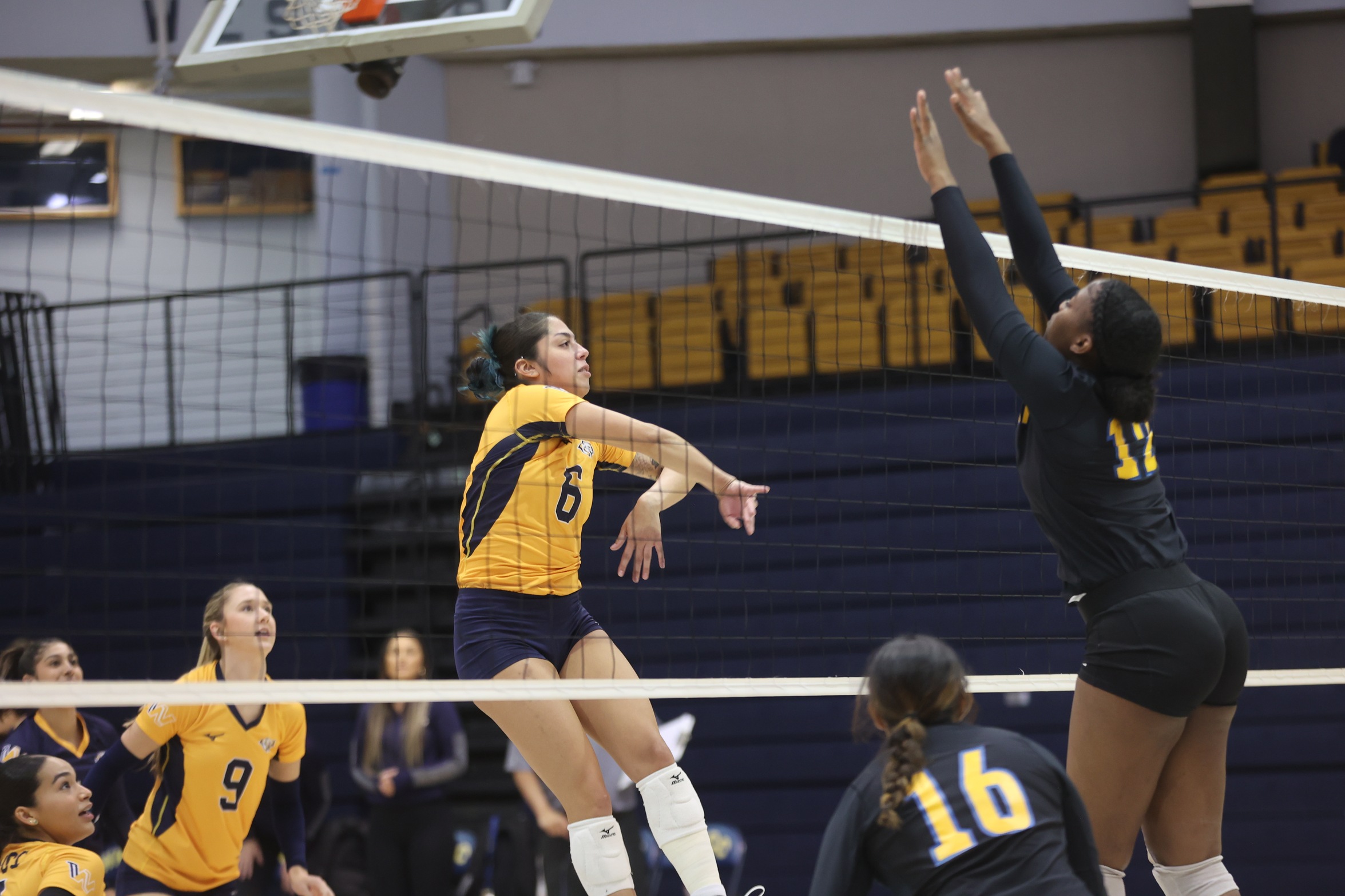 Ale Meoni gets a kill. 