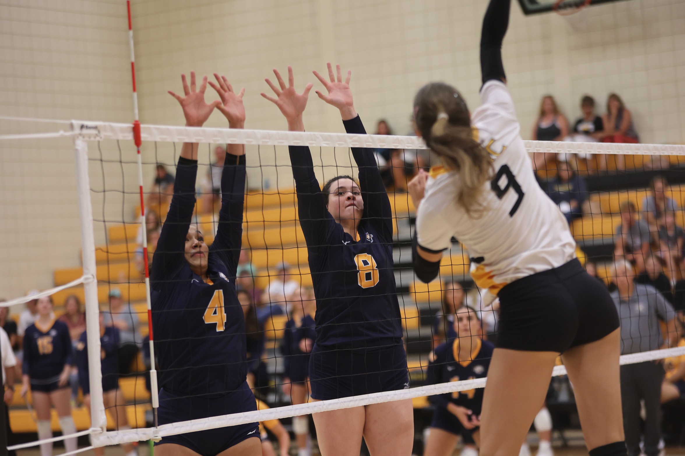 Cougar players going up for a block.