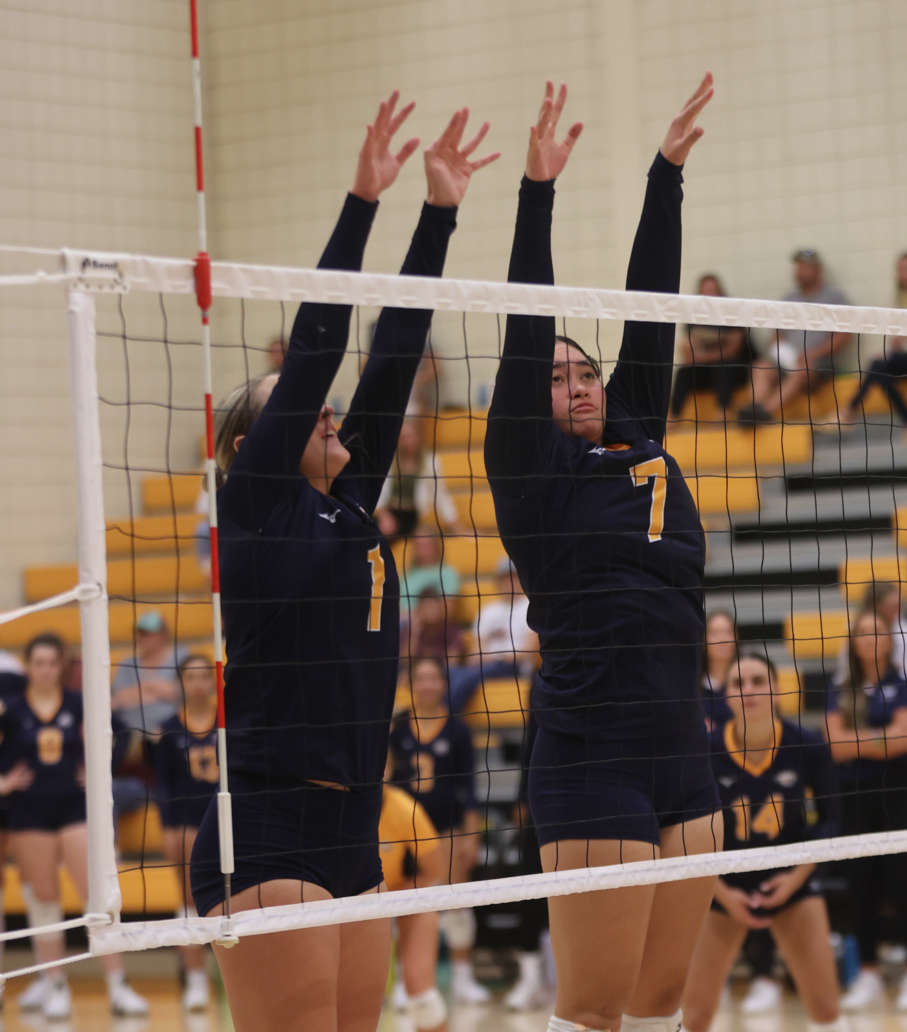 Cougars going up for a block