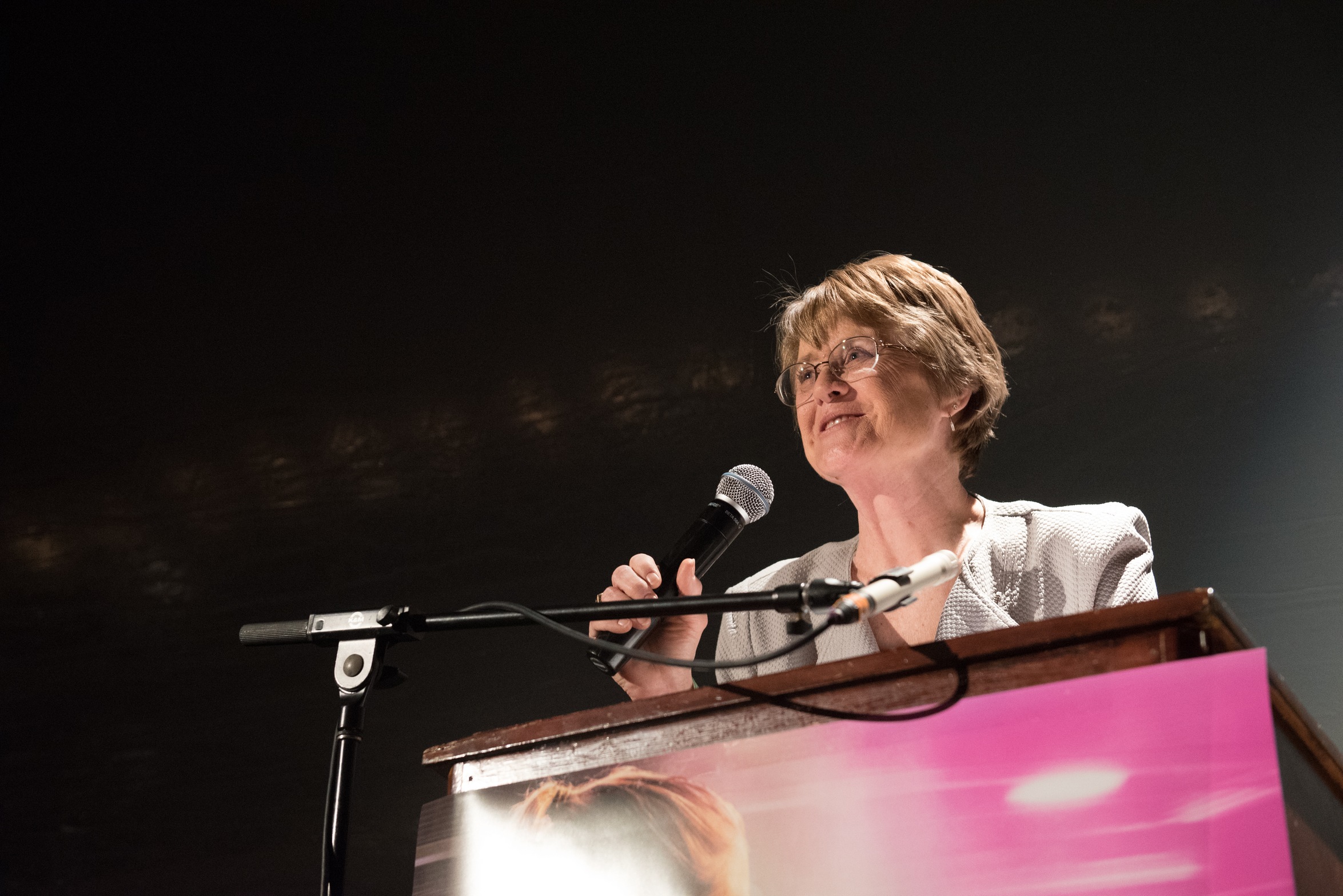 Kathy Bresnahan talking at a lecture.