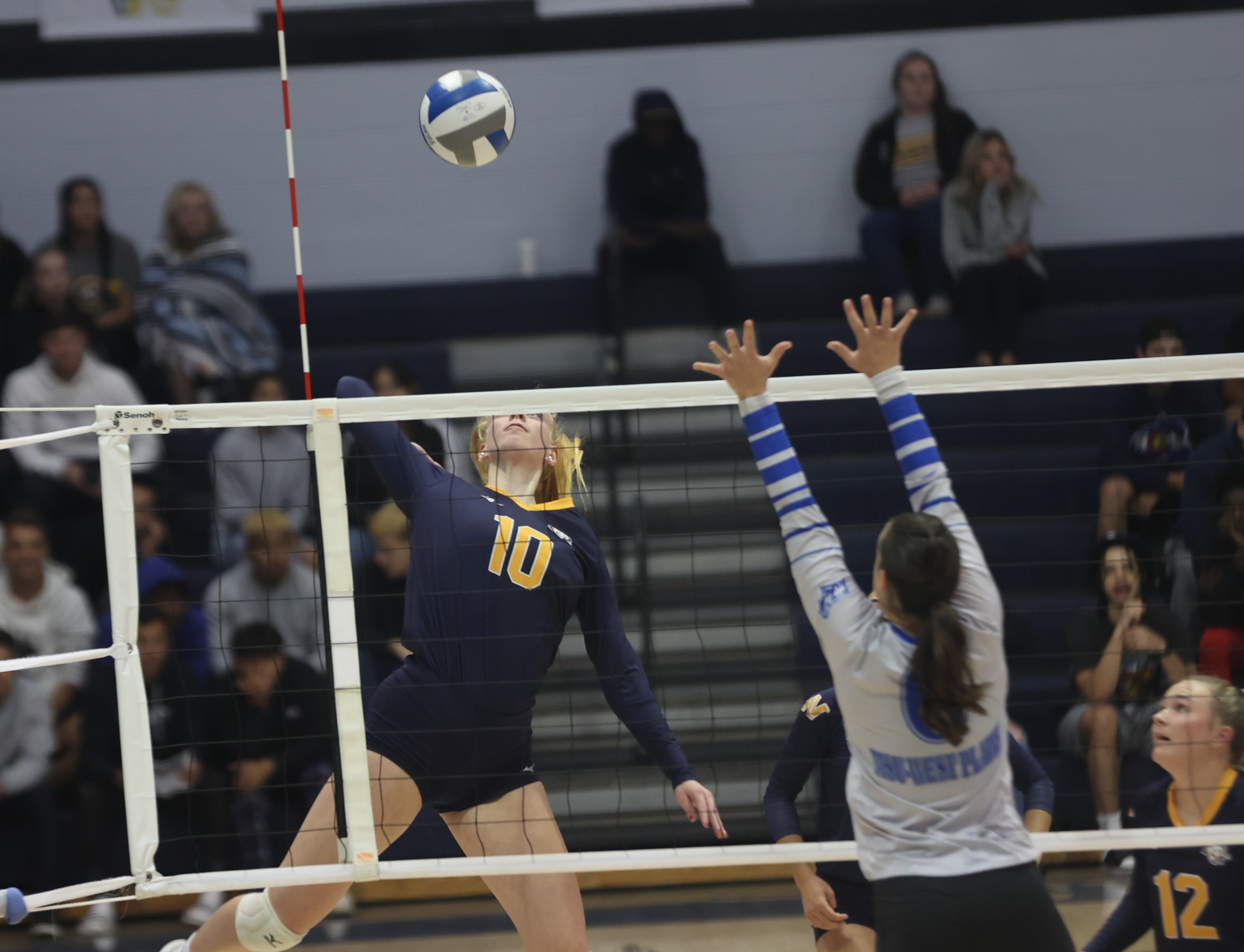 Finja Schul hits against Missouri State-West Plains