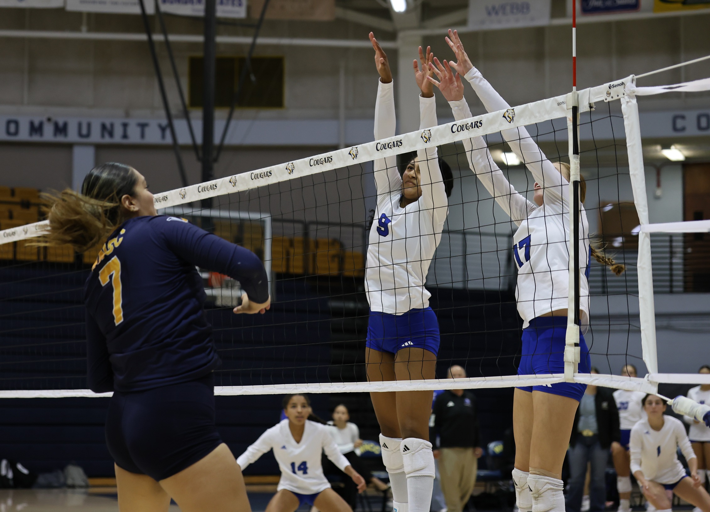 Action against McCook at Cougar Palace earlier this month.
